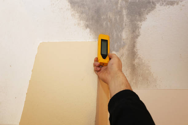 Craig, AK Mold Removal Company