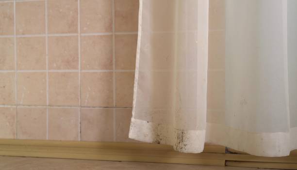 Best Mold Remediation for Healthcare Facilities  in Craig, AK