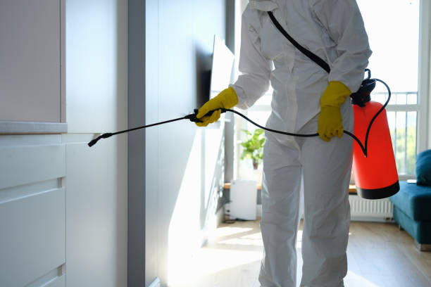 Best Mold Odor Removal Services  in Craig, AK