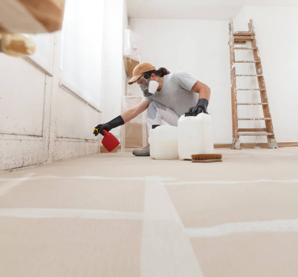 Best Black Mold Removal  in Craig, AK