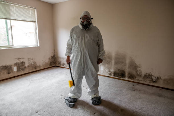 Best Mold Removal for HVAC Installations  in Craig, AK